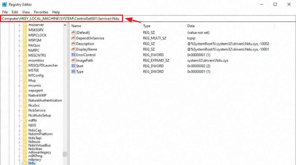 registry editor ndu service key windows 10